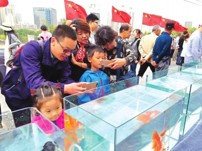 長假期間，有趣的活動(dòng)吸引了市民圍觀